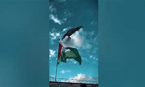 Image result for Palestine Flag Black