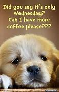 Image result for Happy Wednesday Puppy Meme