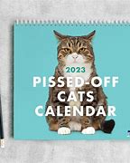 Image result for Cat Meme Calendar