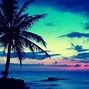 Image result for Pink Tropical Beach Wallpaper