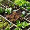 Image result for Square Foot Garden Grid Materials