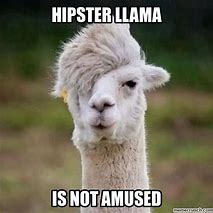 Image result for Llama Meme Face 1080 Px