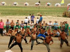 Image result for Mongolian Wrestling Outfit