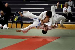 Image result for Judo Throws