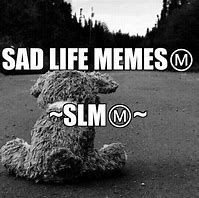 Image result for Sad Life Meme