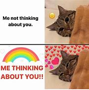 Image result for Cuteness Meme