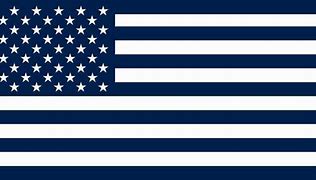 Image result for Blue American Flag
