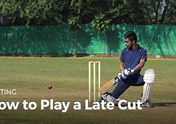 Image result for Cut Shot Cricket Side On