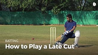 Image result for Cricket Cut