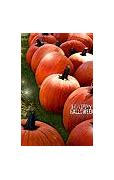 Image result for iPhone SE Halloween Wallpaper