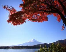 Image result for Yamanashi Japan