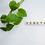 Image result for Vegan Keto Food List