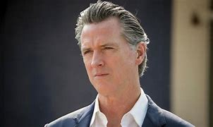 Image result for Gavin Newsom Politician