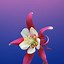 Image result for Floral iPhone XR Wallpaper