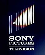 Image result for Sony Cine