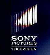 Image result for Sony Cine