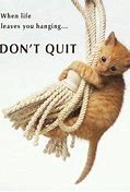 Image result for Keep Hanging in There