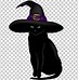 Image result for Black Cat Animated
