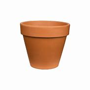Image result for Clay Pots for Plants