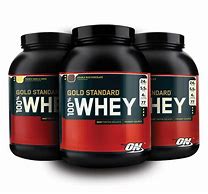 Image result for Gym Protein Powder Made Of