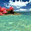Image result for Colorful Desktop Wallpaper Beach