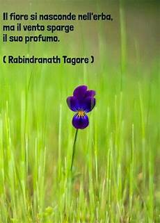 ma le canzoni come fiori 266 best images about my favourite quotes on ma le canzoni come fiori 266 best images about my favourite quotes on