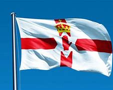 Image result for Northern Ireland Official Flag