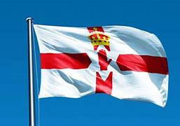 Image result for Northern Ireland Flag