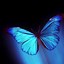 Image result for Lock Screen Laptop Butterfly Black and White