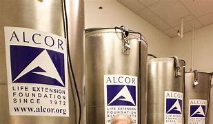 Image result for alcor�n9co