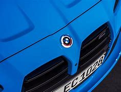 Image result for BMW IIM Logo