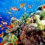 Image result for Best Places to Go in Australia