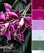 Image result for Tropical Paint Color Palettes