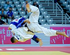 Image result for Judo Body