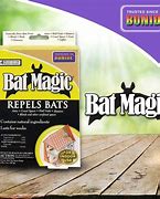 Image result for natural bats repellent