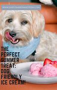 Image result for Dog OS Ice Cream