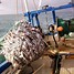 Image result for Cargo Nets Product
