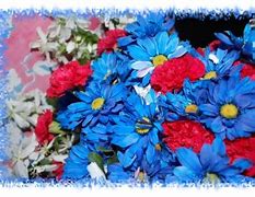 Image result for July Flowers Background