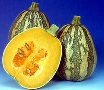 Image result for Bell-Shaped Squash