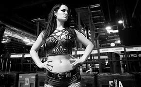 Image result for WWE Elite Paige