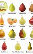 Image result for Round Pears