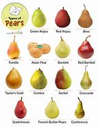 Image result for Pear Kinds