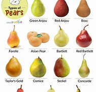 Image result for Red Pear Apple