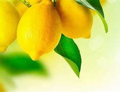 Image result for Lemon Fruit Backgrounds