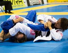 Image result for Jiu Jitsu Armbar