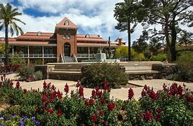 Image result for University of Arizona Tucson