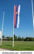 Image result for Pixle Are of Serbian Flag