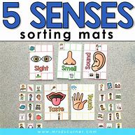 Image result for 5 Senses Sort