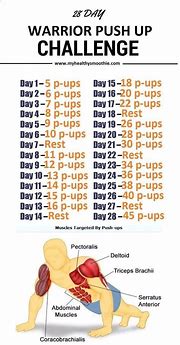Image result for Push-Up Workouts for Men