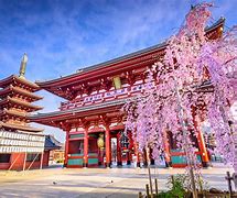 Image result for Tokyo Japan Vacation
